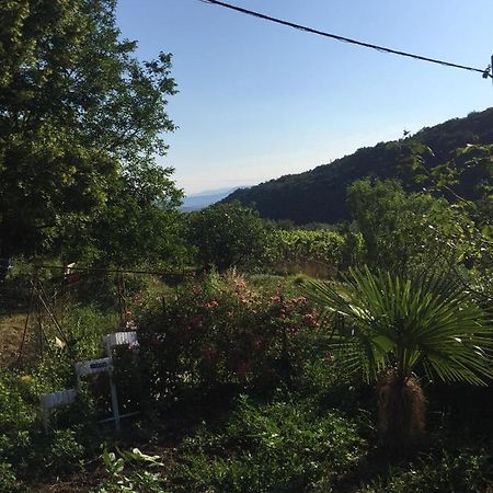 Salara Farmhouse Koper Eksteriør billede