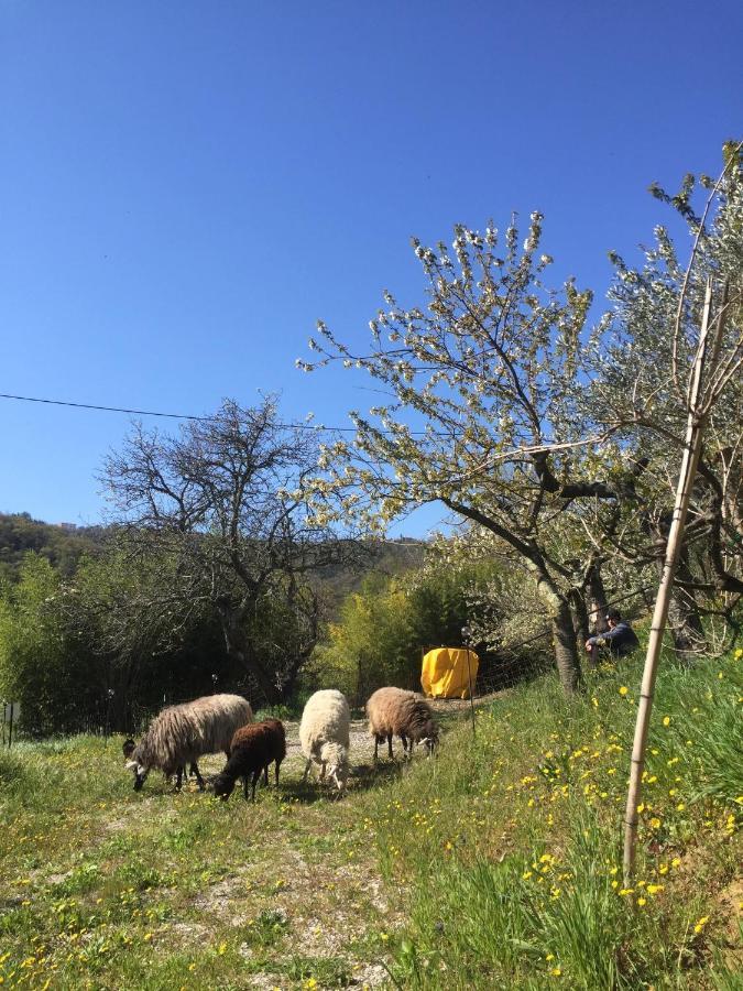 Salara Farmhouse Koper Eksteriør billede