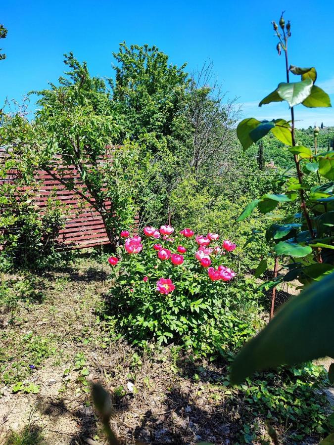 Salara Farmhouse Koper Eksteriør billede