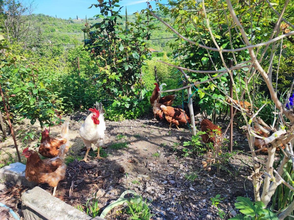 Salara Farmhouse Koper Eksteriør billede