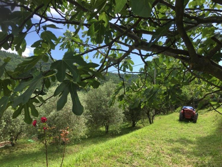 Salara Farmhouse Koper Eksteriør billede