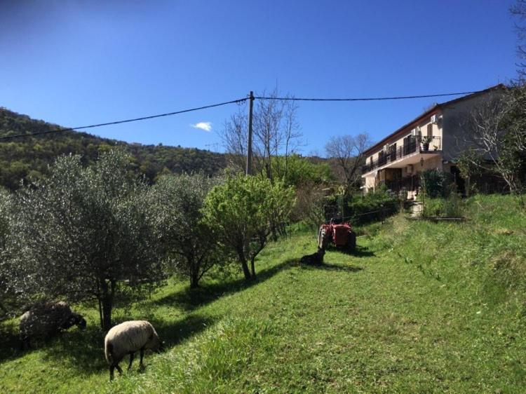 Salara Farmhouse Koper Eksteriør billede